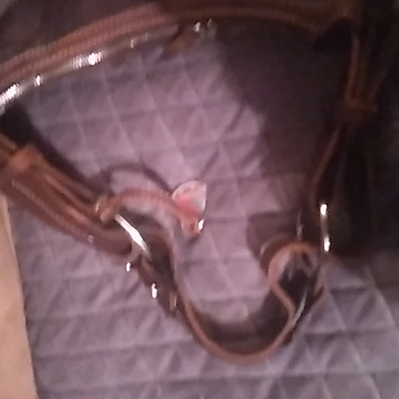 Dooney and Bourke hobo bag - Picture 3 of 5